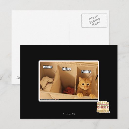Wäschekatze Postkarte (Vorne/Hinten)