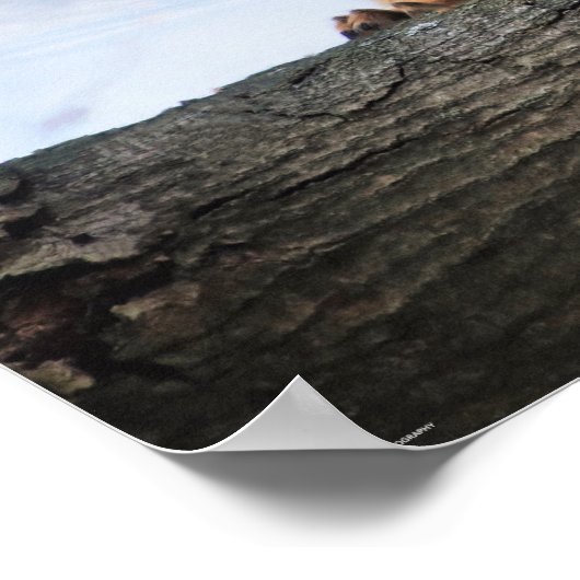 Waschen Sie Ihr Paws Poster (Ecke)