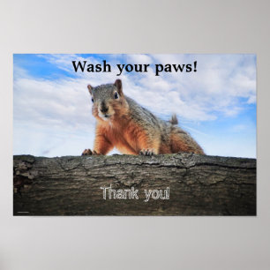 Waschen Sie Ihr Paws Poster