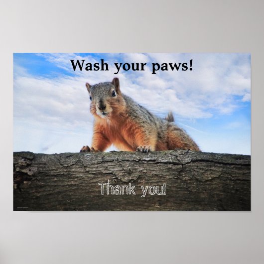 Waschen Sie Ihr Paws Poster (Vorne)