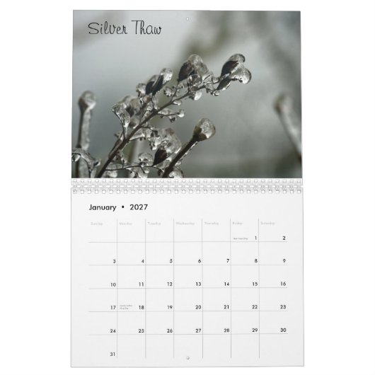 Waschender Staats-Kalender Kalender (Jan 2027)