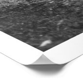 Wäscherei Dog Team Alaska 1904 Poster (Ecke)