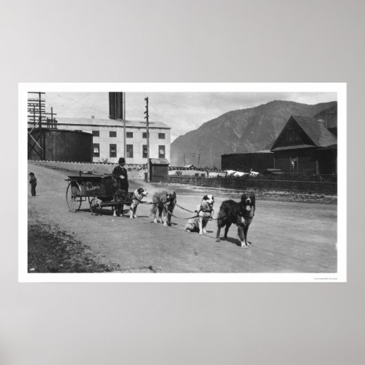 Wäscherei Dog Team Alaska 1904 Poster (Vorne)