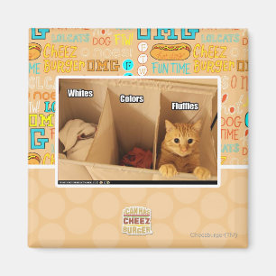 Wäscherei-Katze Magnet