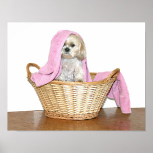 Wäschereihelfer Poster