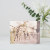 Wäschespinne auf einer Linie Postkarte (Stehend Vorderseite)