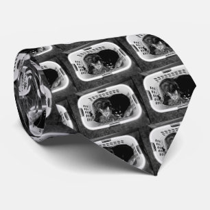 Wäschetrockner-Kätzchen B+W Krawatte