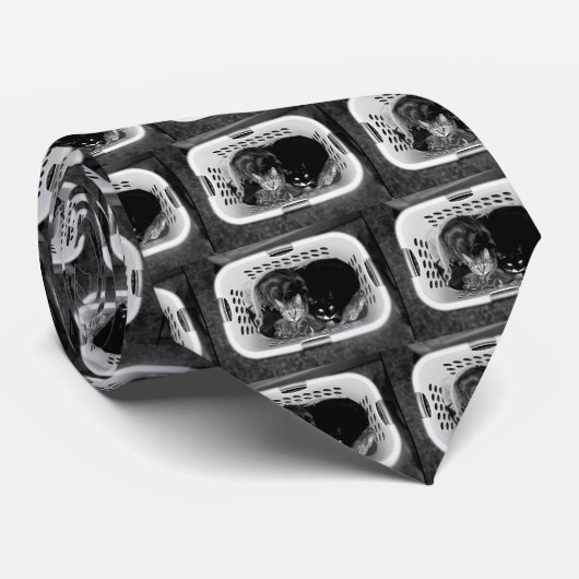 Wäschetrockner-Kätzchen B+W Krawatte (Gerollt)