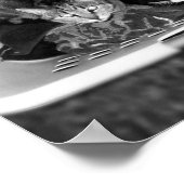 Wäschetrockner-Kätzchen B+W Poster (Ecke)