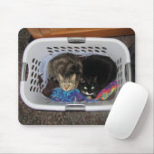 Wäschetrockner-Kätzchen Mousepad (Mit Mouse)