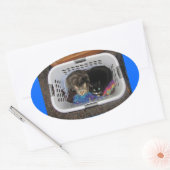 Wäschetrockner-Kätzchen Ovaler Aufkleber (Umschlag)