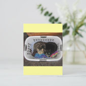 Wäschetrockner-Kätzchen Postkarte (Stehend Vorderseite)