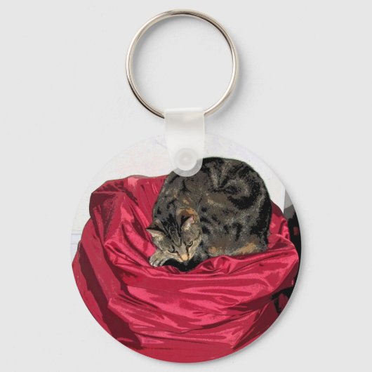 Wäschetrockner Schlüsselanhänger (Vorderseite)