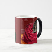 Wäschetrockner Verwandlungstasse (VorderseiteRechts)