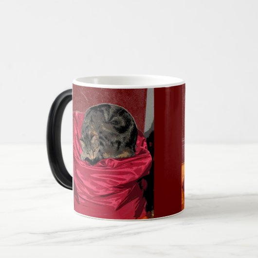 Wäschetrockner Verwandlungstasse (Vorderseite Links)