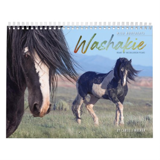 Waschkalender für Wildpferde Kalender (Titelbild)