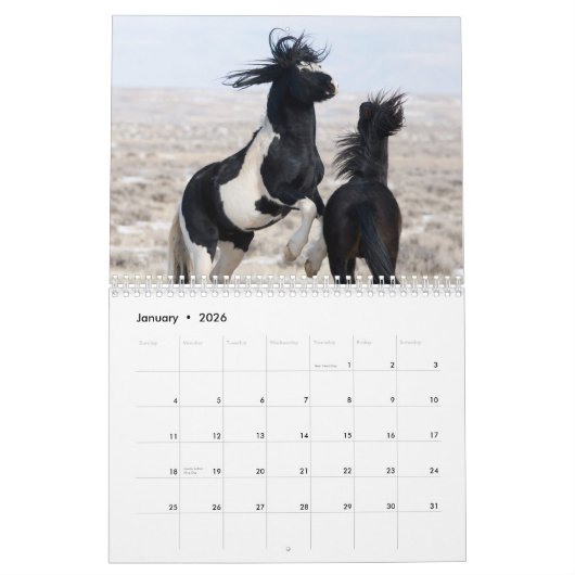 Waschkalender für Wildpferde Kalender (Jan 2026)
