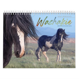 Waschkalender für Wildpferde Kalender