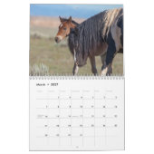 Waschkalender für Wildpferde Kalender (Mär 2027)