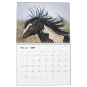 Waschkalender für Wildpferde Kalender (Feb 2027)