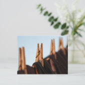 Waschlinie Postkarte (Stehend Vorderseite)