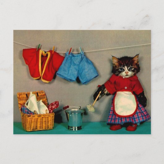 Waschtag für Tabby-Kätzchen RPPC Postkarte (Vorderseite)