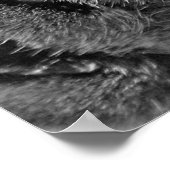 Washday Cat Poster Print (Ecke)