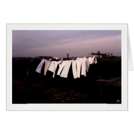 Washday in Amsterdam Card