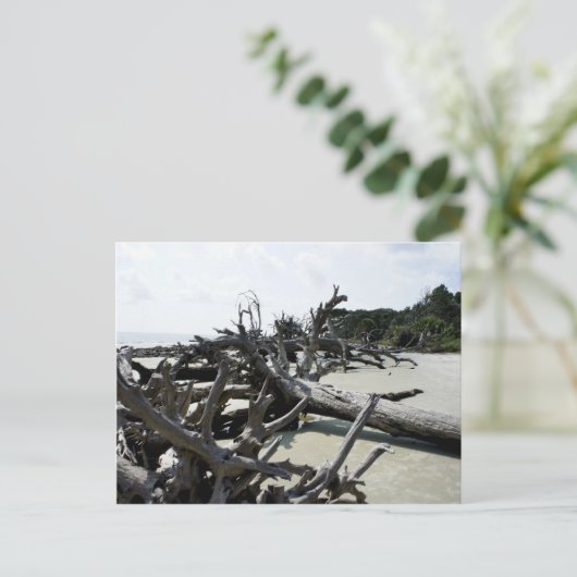 Washed Ashore Postkarte (Stehend Vorderseite)