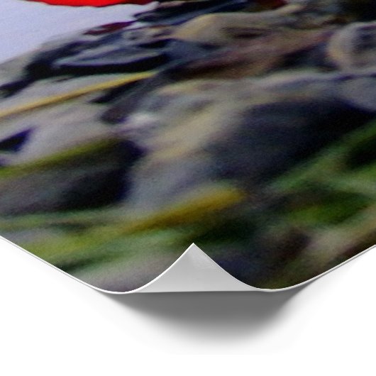 Washed Ashore Red Rose Poster (Ecke)