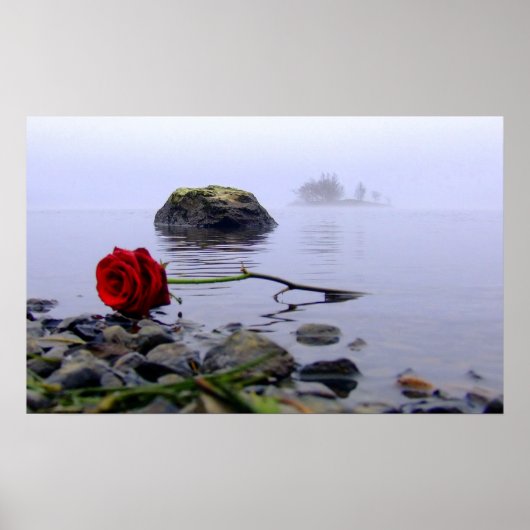 Washed Ashore Red Rose Poster (Vorne)