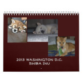 Washington 2013 D.C. Shiba Inu Kalender (Titelbild)