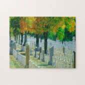 Washington Arlington Friedhof Puzzle (Horizontal)