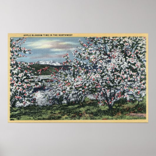 Washington - Blick auf die Apfelbäume in Blossom Poster (Vorne)