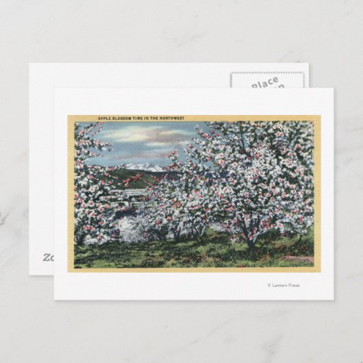 Washington - Blick auf die Apfelbäume in Blossom Postkarte (Vorne/Hinten)