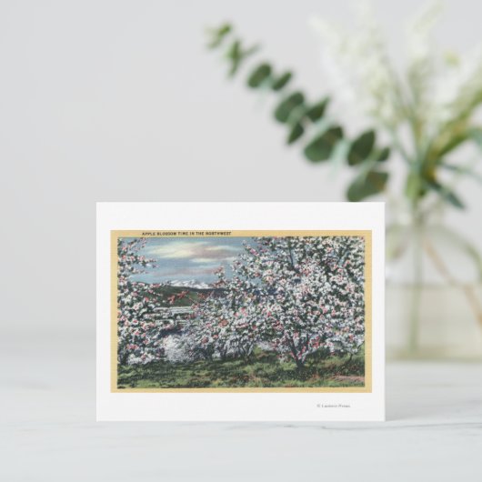 Washington - Blick auf die Apfelbäume in Blossom Postkarte (Stehend Vorderseite)