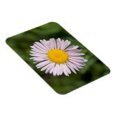 Washington, Cascade Range, Mount Baker Magnet (Rechte Seite)