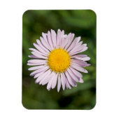 Washington, Cascade Range, Mount Baker Magnet (Vertikal)