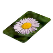 Washington, Cascade Range, Mount Baker Magnet (Linke Seite)