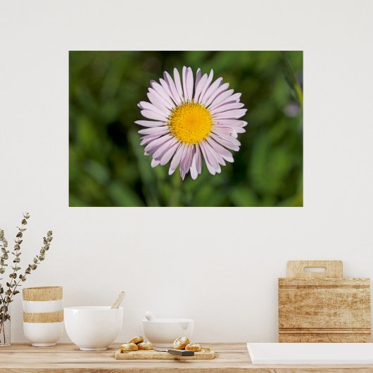 Washington, Cascade Range, Mount Baker Poster (Küche)