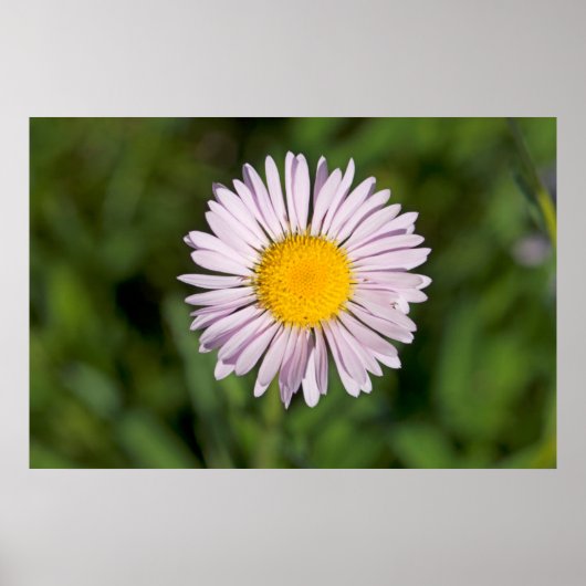 Washington, Cascade Range, Mount Baker Poster (Vorne)