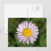 Washington, Cascade Range, Mount Baker Postkarte (Vorne/Hinten)