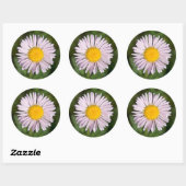 Washington, Cascade Range, Mount Baker Runder Aufkleber (Blatt)