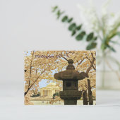Washington Cherry Blossoms Postcard Postkarte (Stehend Vorderseite)