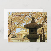 Washington Cherry Blossoms Postcard Postkarte (Vorne/Hinten)