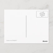 Washington Cherry Blossoms Postcard Postkarte (Rückseite)