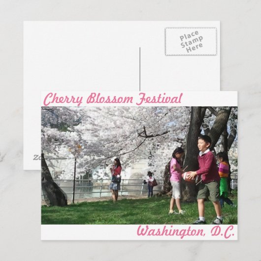 Washington, D.C. Cherry Blossom Postkarte (Vorne/Hinten)