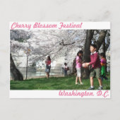 Washington, D.C. Cherry Blossom Postkarte (Vorderseite)