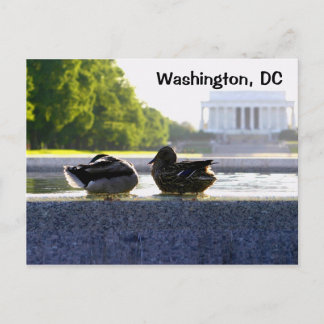 Washington, D.C.: Enten bei der Gedenkveranstaltun Postkarte