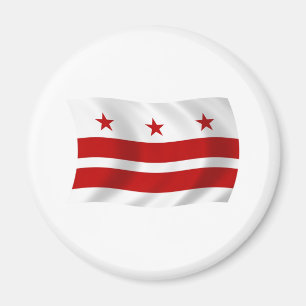 Washington D.C. Flag Magnet